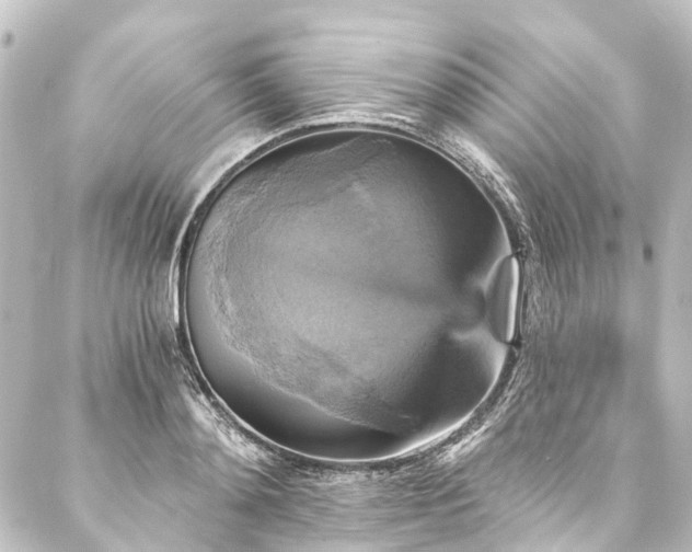 X0000088200892200705151310