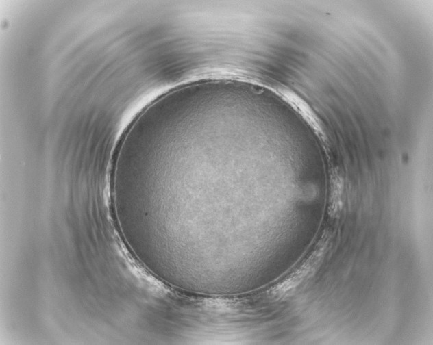 X0000088200904200705151310