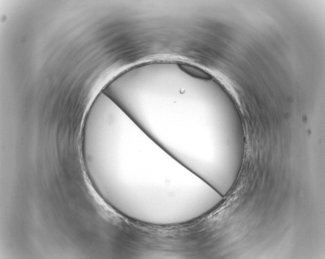 X0000088200911200705151309
