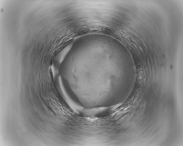 X0000088200916200705151309