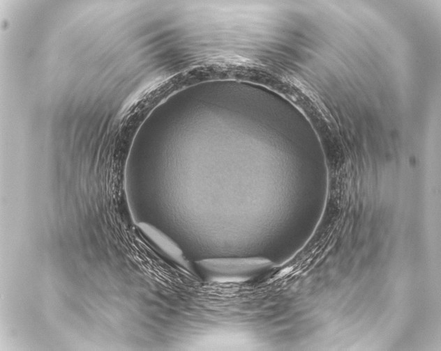 X0000088200919200705151309
