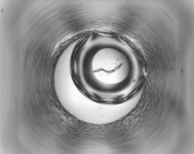 X0000088200920200705151309