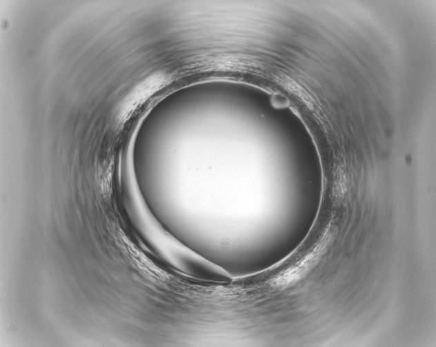 X0000088200922200705151309