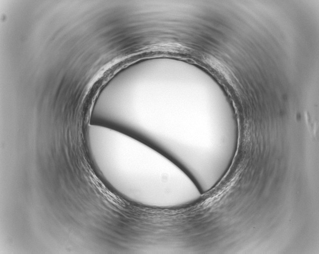 X0000088200923200705151309