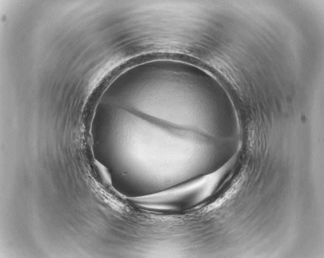 X0000088200926200705151309