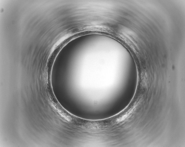 X0000088200931200705151309