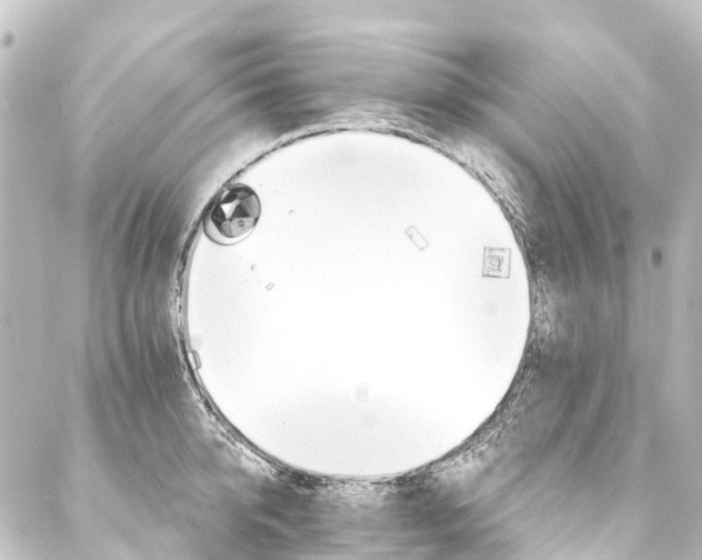 X0000088200950200705151309