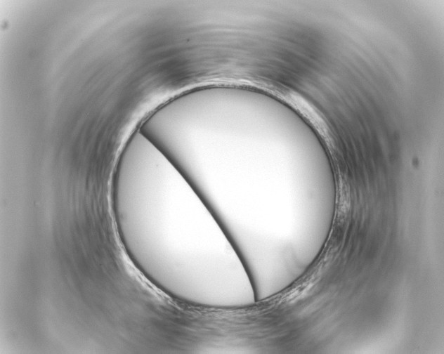 X0000088200958200705151309
