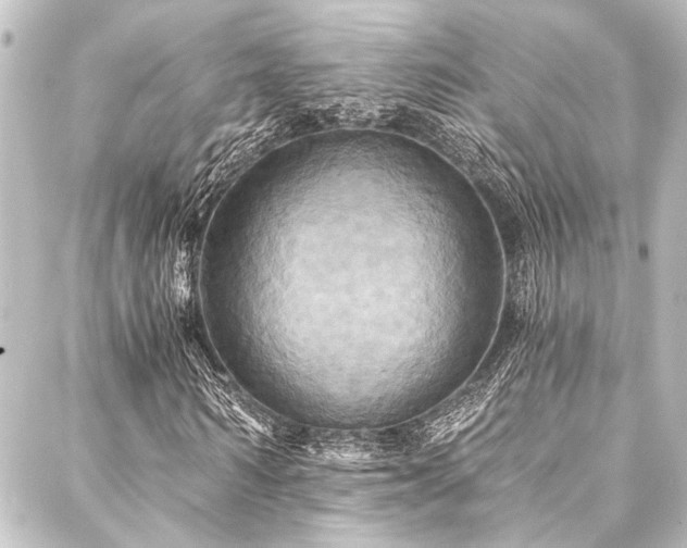 X0000088200962200705151309