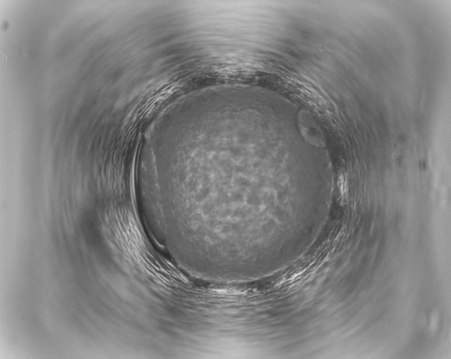 X0000088200963200705151309