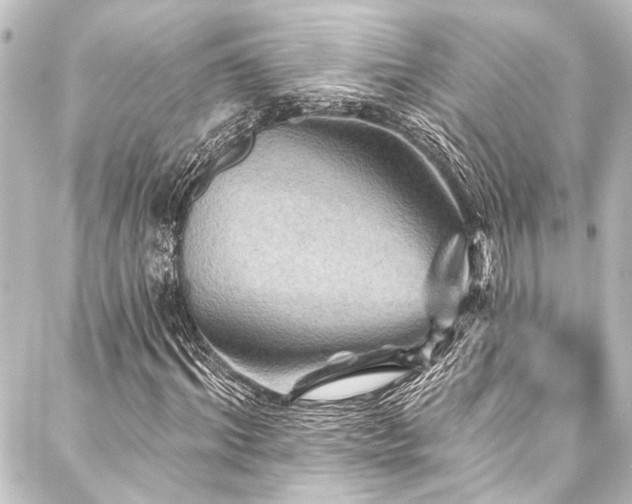 X0000088200964200705151309