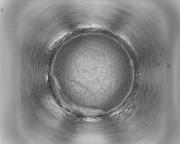 X0000088200967200705151309