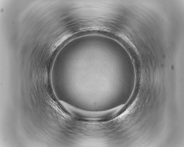 X0000088200969200705151309