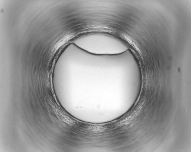 X0000088200970200705151308