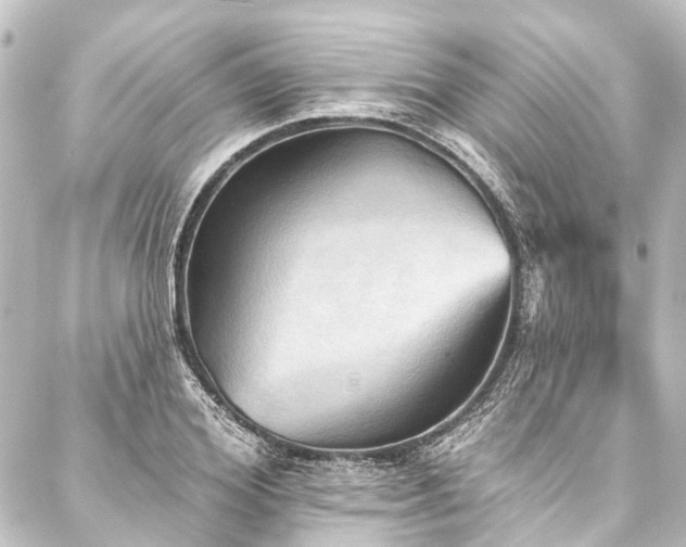 X0000088200980200705151308