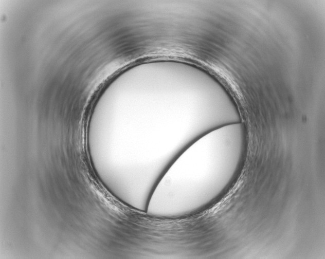 X0000088200982200705151308