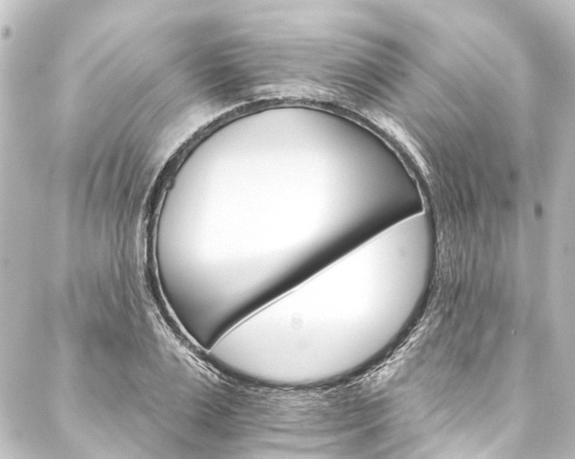 X0000088200983200705151308