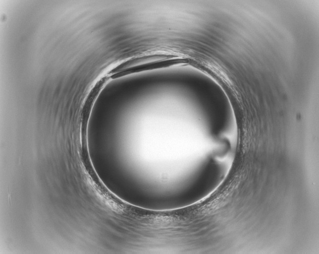 X0000088200984200705151308
