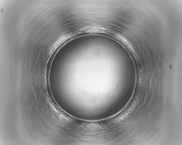 X0000088200986200705151308
