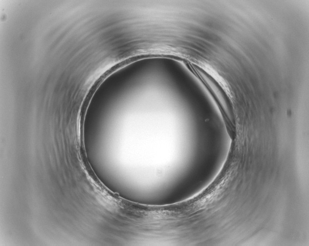 X0000088200988200705151308