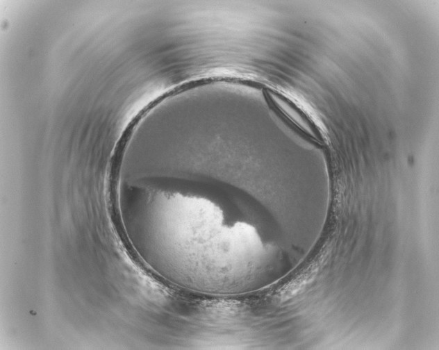 X0000088200991200705151308