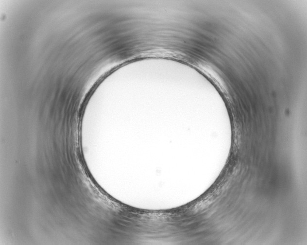 X0000088201000200705151308