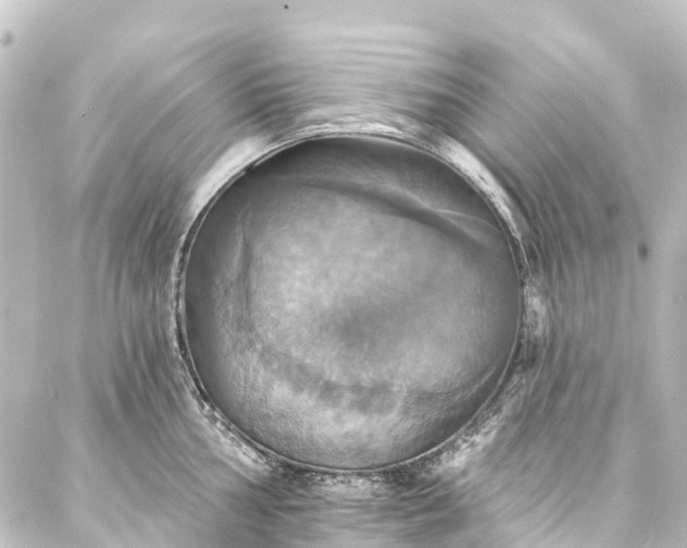 X0000088201002200705151308