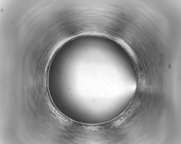 X0000088201004200705151308