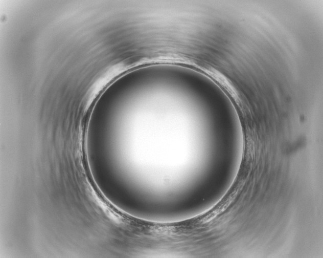 X0000088201006200705151308