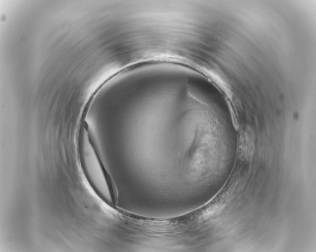 X0000088201007200705151308