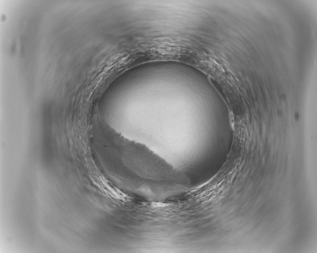 X0000088201009200705151307