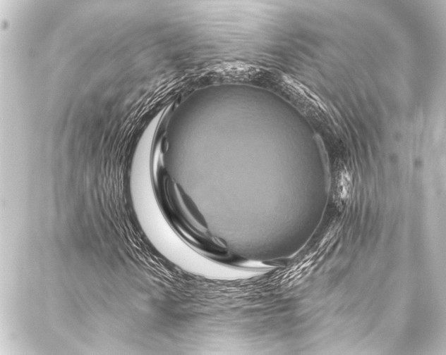 X0000088201010200705151307