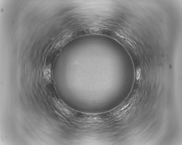 X0000088201011200705151307