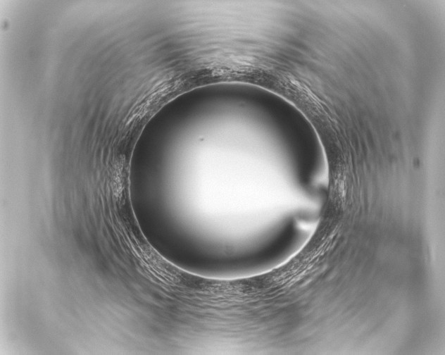 X0000088201012200705151307