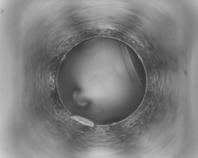 X0000088201013200705151307