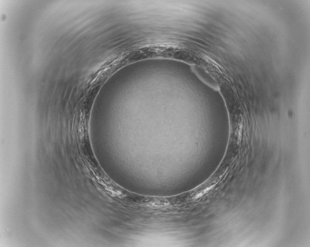 X0000088201014200705151307