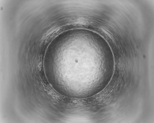 X0000088201015200705151307