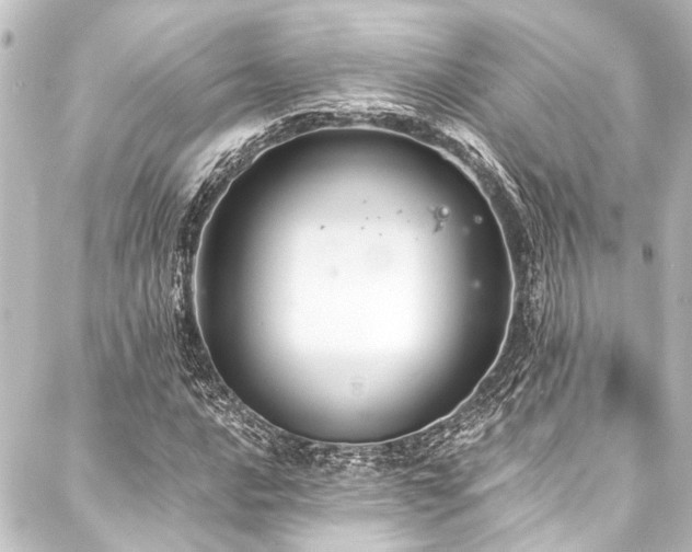 X0000088201016200705151307