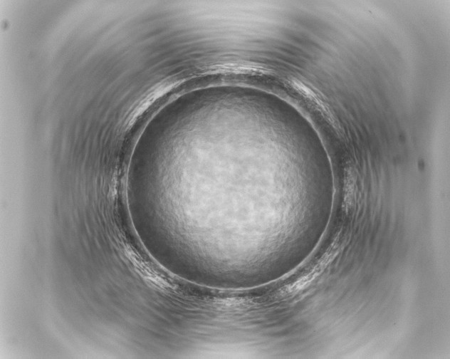 X0000088201017200705151307