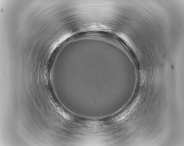 X0000088201018200705151307