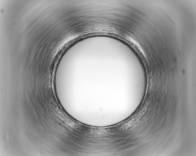 X0000088201019200705151307