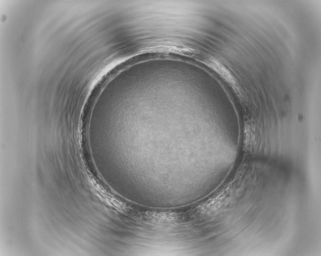 X0000088201020200705151307