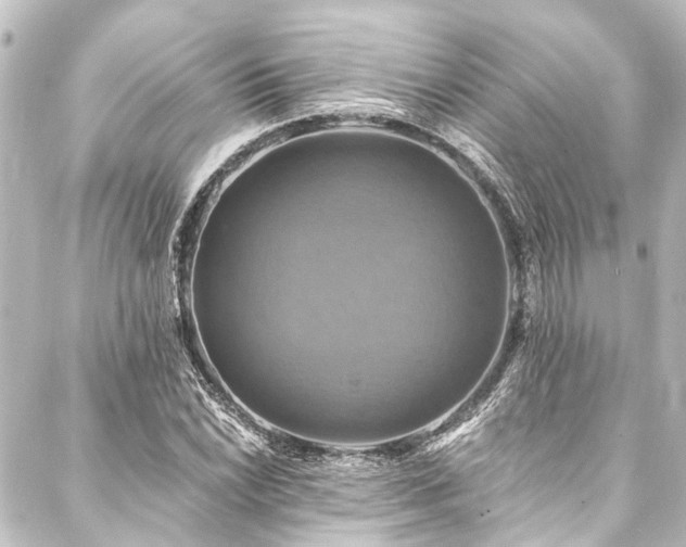 X0000088201022200705151307