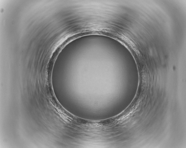 X0000088201023200705151307