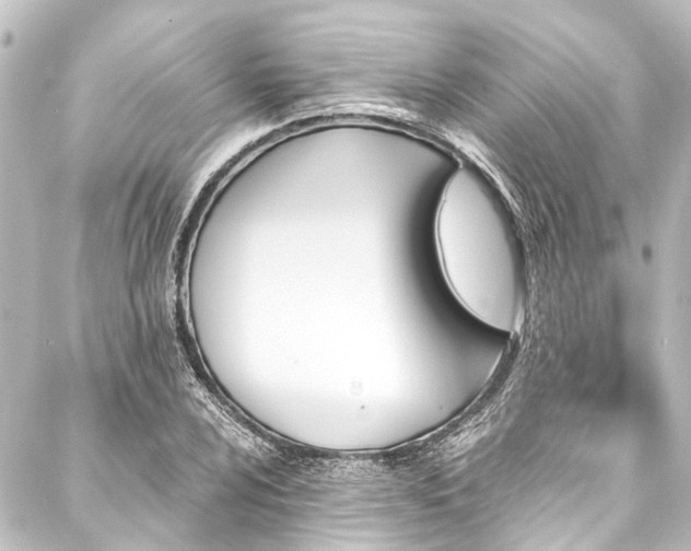 X0000088201024200705151307