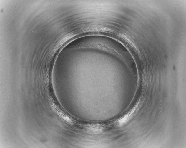 X0000088201025200705151307