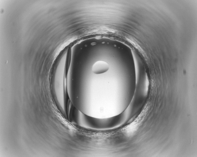 X0000088201026200705151307