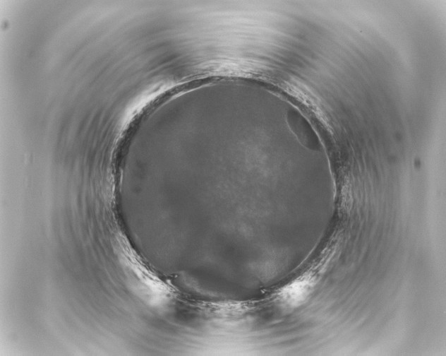 X0000088201027200705151307
