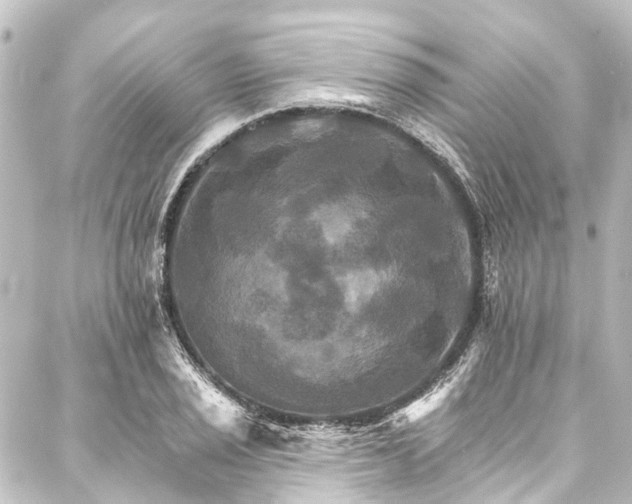 X0000088201029200705151307