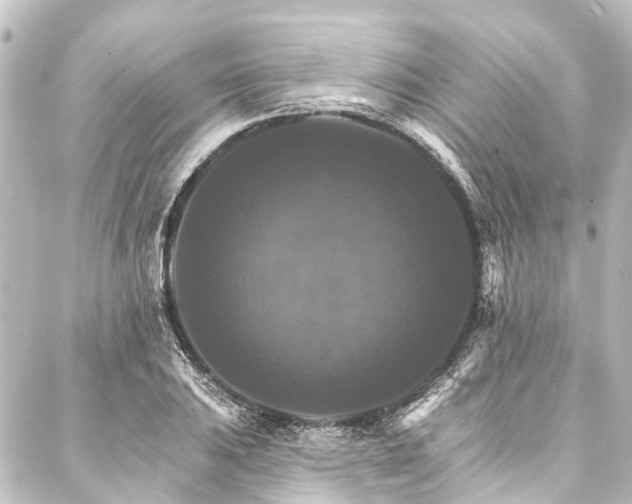 X0000088201031200705151307